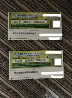 2025年度東京ディズニーリゾート割引券　2枚