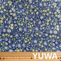 Item thumbnail for item bead9e1e-f3ed-446d-b499-6c0f9a71666c