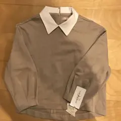 Item thumbnail for item 770c69f7-28e2-41ef-8151-c56e0606b3ca