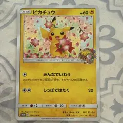 ピカチュウ：ポケモンセンター20周年記念キャンペーン みんなでいわうピカチュウ ピカチュウ(ポケモンセンター20周年)の買取価格・値段推移と相場まとめ