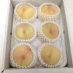 <産直>岡山一宮産桃 おかやま夢白桃 現品限り！進物用 8個入り 産直>岡山一宮産桃 おかやま夢白桃 現品限り！進物用 8個入り - メルカリ