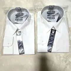 Item thumbnail for item a33d38ec-dade-4971-bffa-48507293c48b