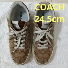 COACH スニーカー ブラウン　何年か前にアウトレットで2万円くらい購入