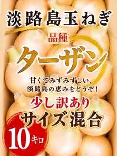 淡路島たまねぎ 訳あり10キロのサムネイル
