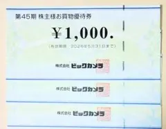ビックカメラ　株主優待　3000円分