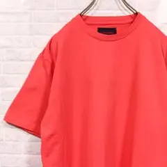 APPLEBUM ヘビーウェイト ブランク Tシャツ アップルバム サーモン