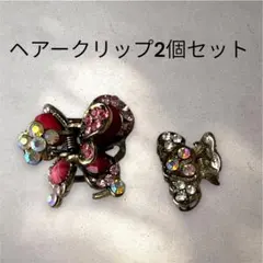 蝶デザイン ヘアクリップ2個セット