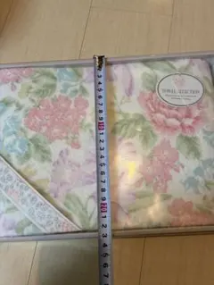 Item thumbnail for item bf2fd8dc-e41a-43a4-9667-37c44d5033c2