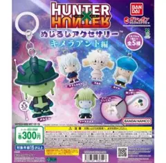 HUNTER×HUNTER めじるしアクセサリー キメラアント編　コンプリート