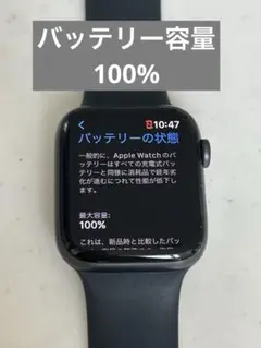 Apple Watch SE 第一世代 44mm