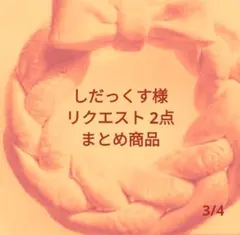しだっくす様 リクエスト 2点 まとめ商品