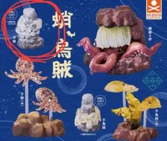 2026年最新】原色タコ・イカ図鑑の人気アイテム - メルカリ