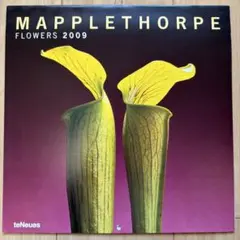 Mapplethorpe Flowers 2009年 カレンダー
