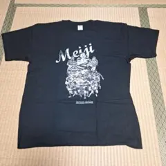 Item thumbnail for item 826b21d8-f9de-4302-9688-260b4c6b1d45