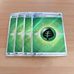 基本草エネルギー 4枚セット SR
