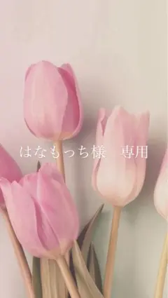 ♡はなもっち様専用ページ♡