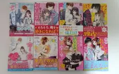 野いちご文庫 12冊セット 恋愛小説 まとめ売り バラ売り可 - メルカリ