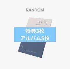 SEVENTEEN d×s serenade アルバム　ユニバ　特典　トレカ