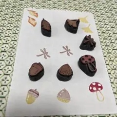＊消しゴムはんこ＊ 秋のモチーフ6個セット