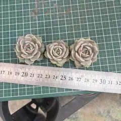 ☆YAKKO☆様 リクエスト 2点 まとめ商品