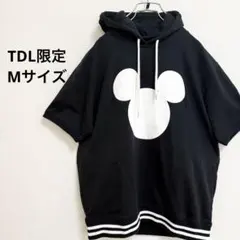 Item thumbnail for item 62d70767-a92d-48d4-b523-56c9e8cd30e2