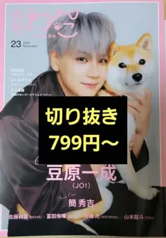 月刊わんこ vol.23 切り抜き 豆原一成 簡秀吉 佐藤綺星 古幡亮 山本龍人