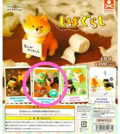 しばぐらし ほっかむりスタイルを楽しむ柴犬 ガチャガチャ カプセルトイ 2個