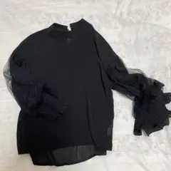 シフォン ブラック シャツ 長袖 フリル付き
