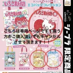 【恋華さま専用】サンリオキャラクターズ　いちご新聞エコバッグコレクション　ガチャ