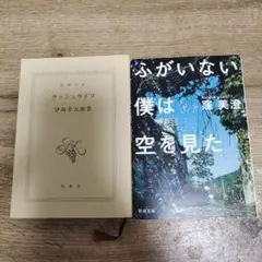ラッシュライフ & ふがいない僕は空を見た 2冊セット