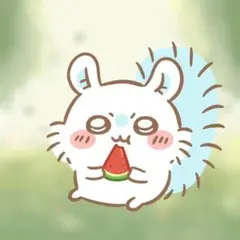 にーやん様　専用出品　過去問