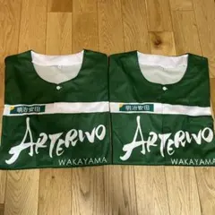 アルテリーヴォ和歌山 ベースボールシャツ 2枚セット