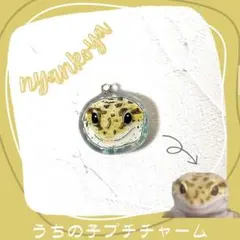 みゆみゆ様専用★犬・猫・レオパードゲッコー・ペット似顔絵イラスペンダントトップ
