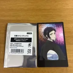 文豪ストレイドッグス 芥川龍之介 ポラショット