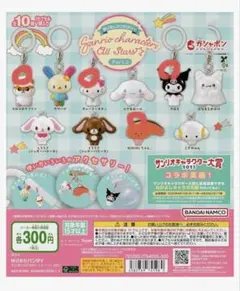 サンリオキャラクターズ オールスター めじるしアクセサリー まとめ売り