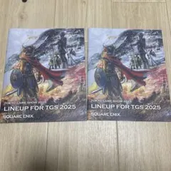 ドラゴンクエスト パンフレット ドラゴンクエスト パンフレット 販促用チラシ ドラクエ DRAGON