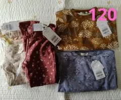 ☆特価☆【新品未使用】セラフ パンツ トレーナー セット