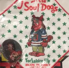 ELLYセット 缶バッジ ハンドタオル BP MP