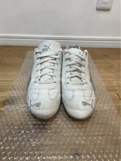 Item thumbnail for item 46202203-d2bd-43a8-950f-d890e7d1836e