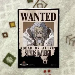 【ワンピース】レイリー（麦わらストア 手配書ブロマイド）