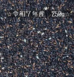 ⭐︎黒米　紫黒米(さよむらさき)無選別 　もち米ミッスク　250g⭐︎のサムネイル