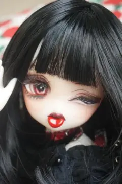ランカーズペット ポコちゃん - メルカリ
