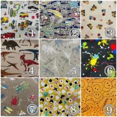 Item thumbnail for item 6a52d927-f631-419e-bbee-d8602a968797