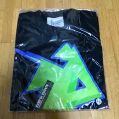 BUMP OF CHICKEN Tシャツ バンプオブチキンのサムネイル