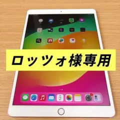 【ロッツォ様専用】]iPad pro 10.5インチ 64GB WiFiモデル