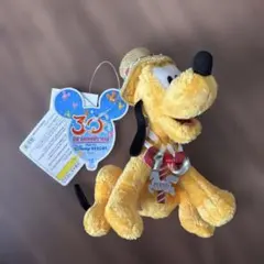 プルート ぬいぐるみバッチ 東京ディズニーシー15周年 - メルカリ