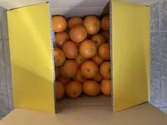 しおぱん様専用