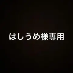 はしうめ様専用