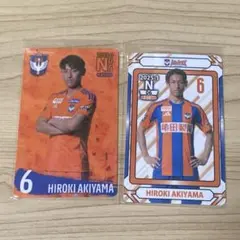 Item thumbnail for item f4f07c37-9167-4f41-9aeb-347212ec23cf