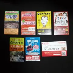 栃木県　日光市　鬼怒川温泉　旅行　レンタカー　割引券クーポン券　色々セット管理２